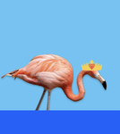 Flamingo Fan Club/ Gaming Group