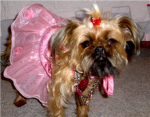 Pretty n' Pink