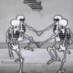 ✧