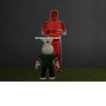 Wowcool