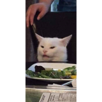 Confused Cat Cult