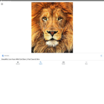 Hello you can have robux in this group