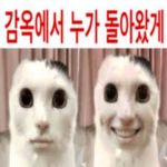 콘의 파트 게임 (공식)