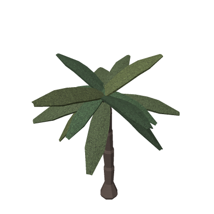 Palm Tree Tropical Beach Coconut Island Nature 2