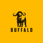Boston Buffalo