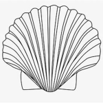 ShellTech Executive's