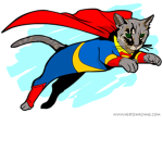 Super Cats Store