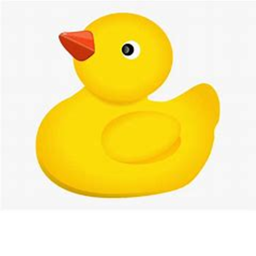 River Duck Obby