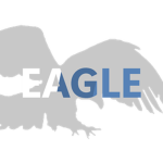 Eagle Medical