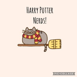 Harry Potter Nerds hangout!