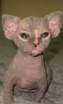 Rawr hehehehheheh