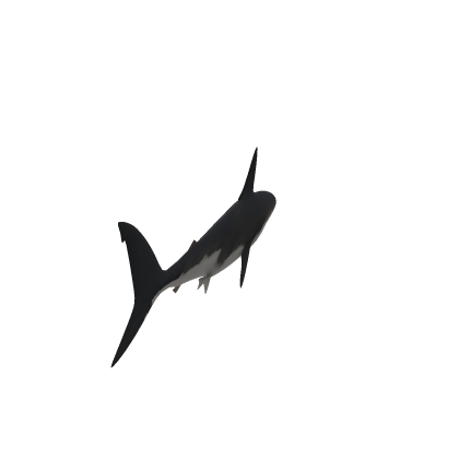 king Shark