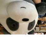 De PANDA!!!