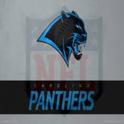 [RO-NFL] Bank of America Stadium
