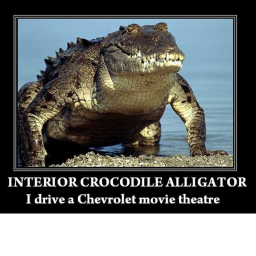 Interior Crocodile Alligator