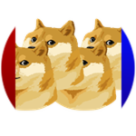 Wormhole Doge