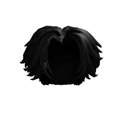 Black Feathered Curtain Hair