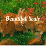 beautiful souls <3