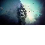 Alan Walker's Industry