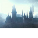 Hogwarts Groupies