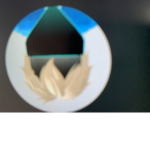 Only pro hackers