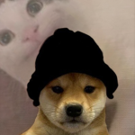 Doggie clothing group