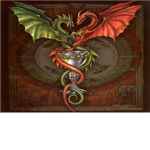 Dracoliciz