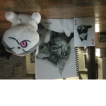 Kitty meow meow official