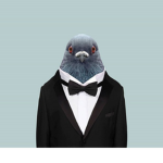 wellmanneredpigeon
