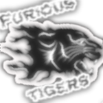 Furious Tigers