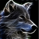 Wolf’s crew