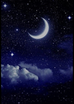 Lil nights