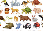 AllAnimalFan Group