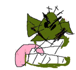 Gang kota