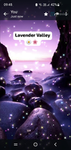 {~Lavender Valley Riding Accademy~}