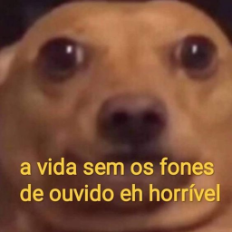 compre agui