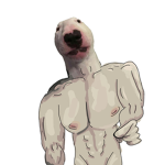Oagy Has No Toagys