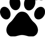 The animal fan group<3