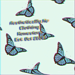 | Aesthetically Me Clothing | HomeStore