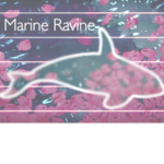 *-.Marine Ravine orca stadium.-*