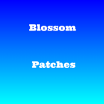 Blossom Patches Clothing Group