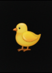 The Duckie Den