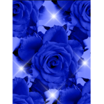 Bluerxses Friends