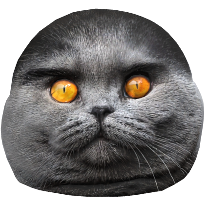 Folk Cat Roblox item
