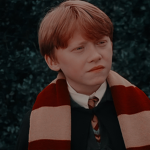 •Harry Potter Fan Group•
