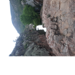 Caylus
