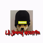 Team Neutr0n