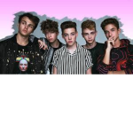 THE Why Don't We FANS!