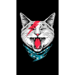 Scary cat