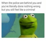 kermit sux